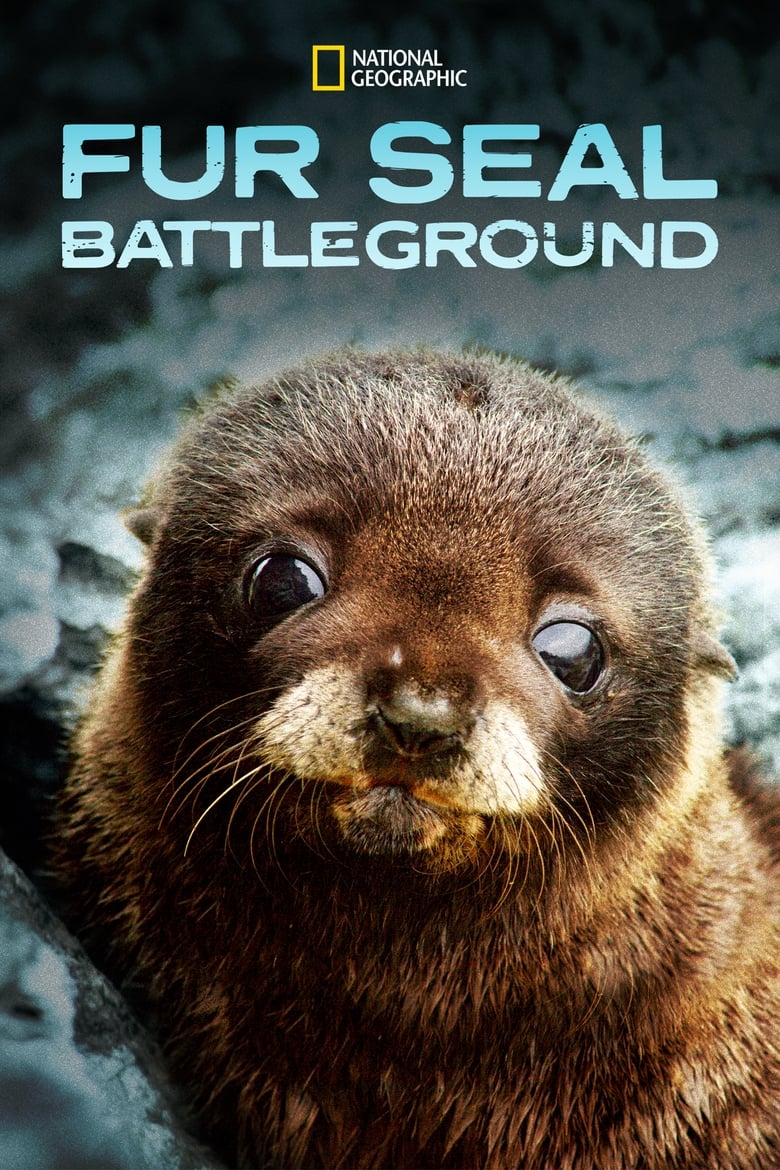 Poster of Fur Seals