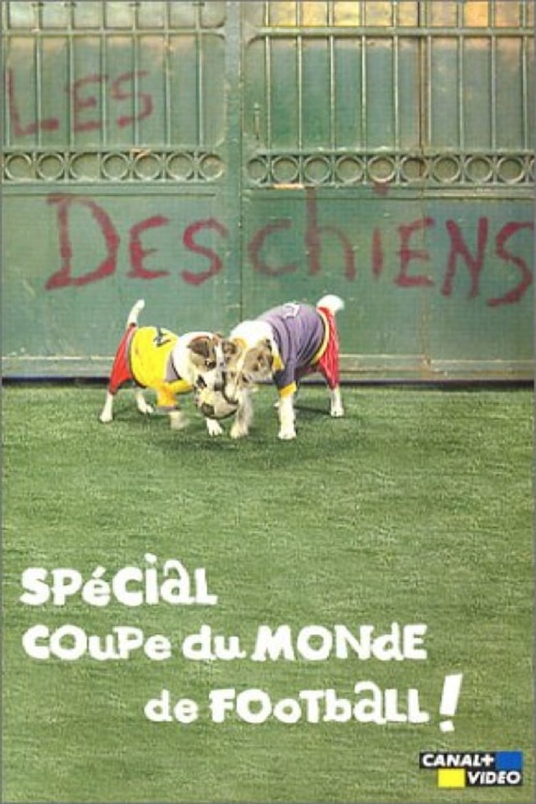 Poster of Les Deschiens - Spécial Coupe du Monde de football