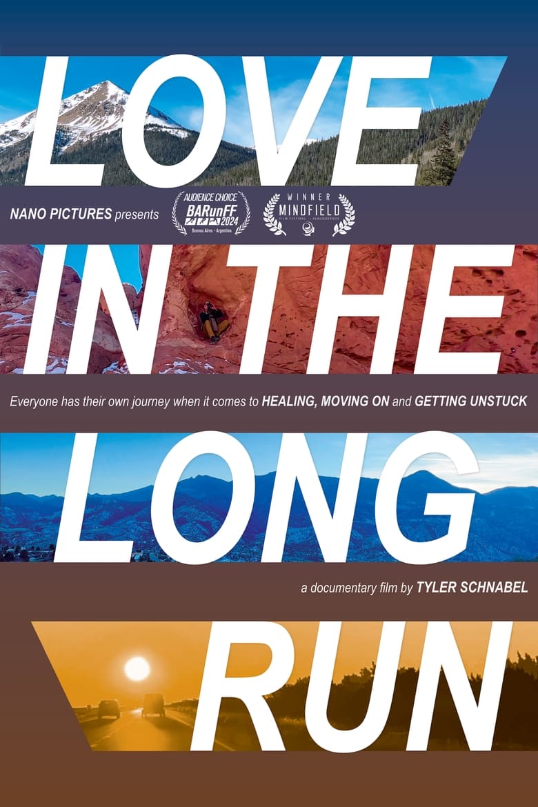 Poster of Love in the Long Run