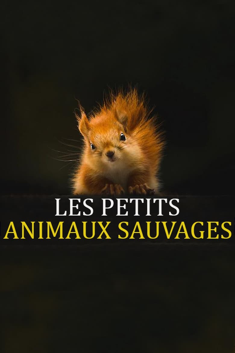 Poster of Les Petits Animaux Sauvages