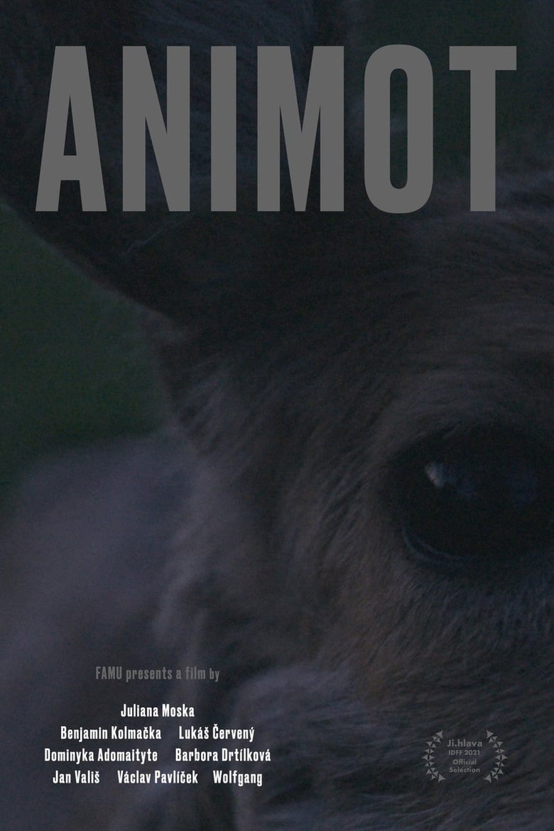 Poster of Animot