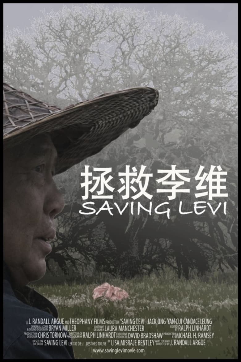 Poster of Saving Levi