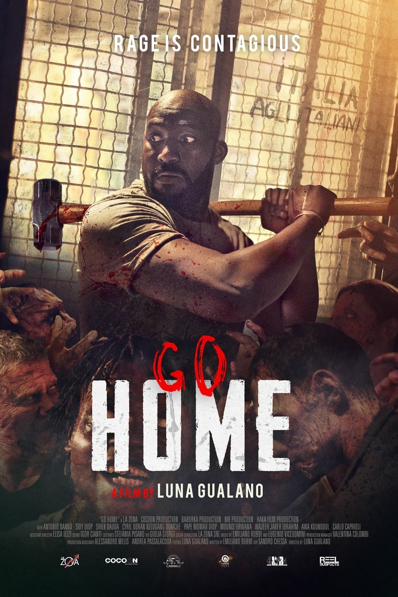 Poster of Go Home