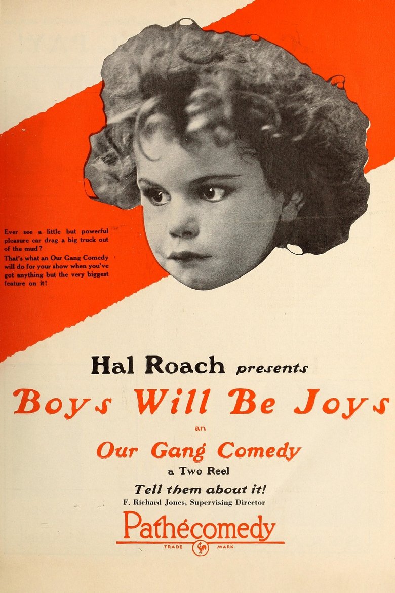 Poster of Boys Will Be Joys