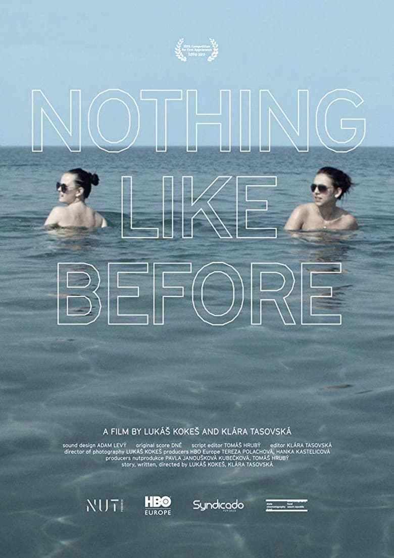 Poster of Nothing Like Before