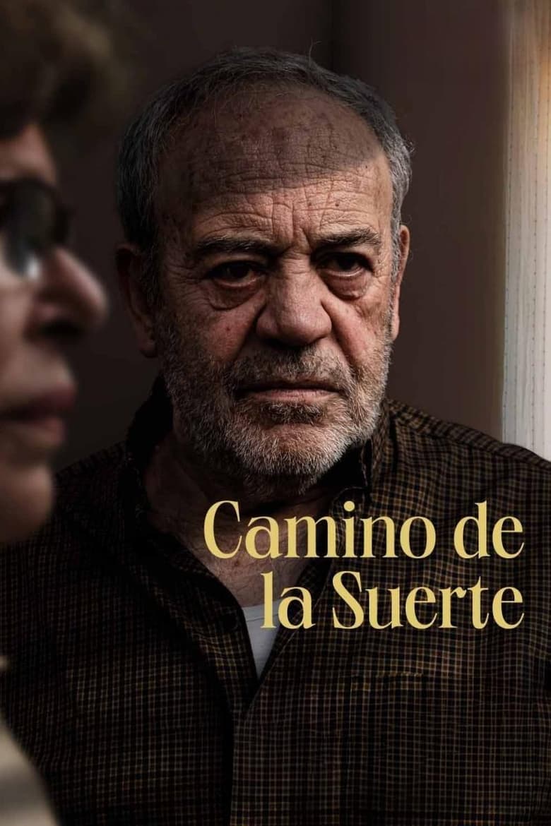 Poster of Camino de la suerte