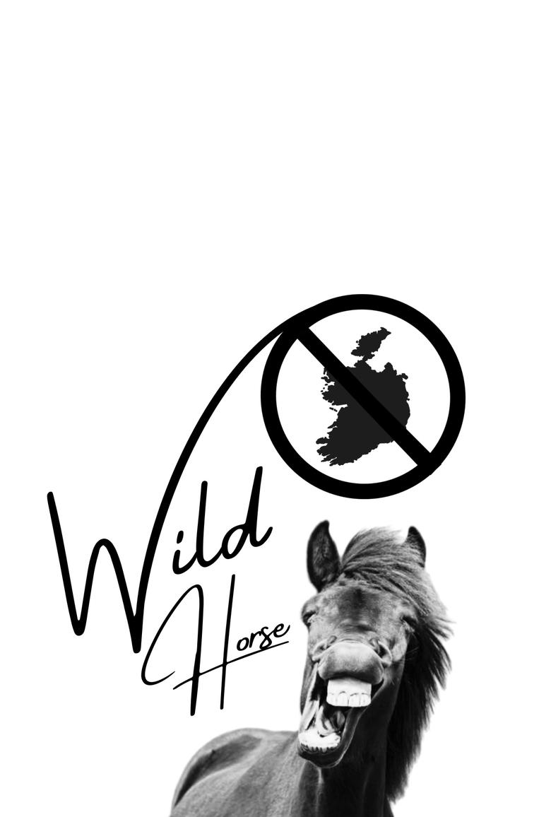 Poster of Wild Horse Nine