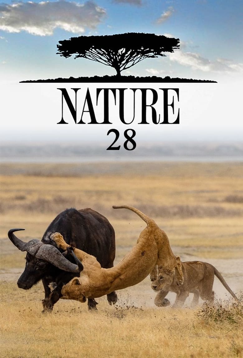 Poster of Episodes in Nature - Season 28 - Season 28