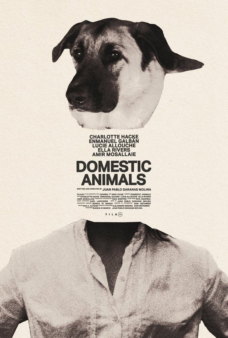 Poster of Domestic Animals