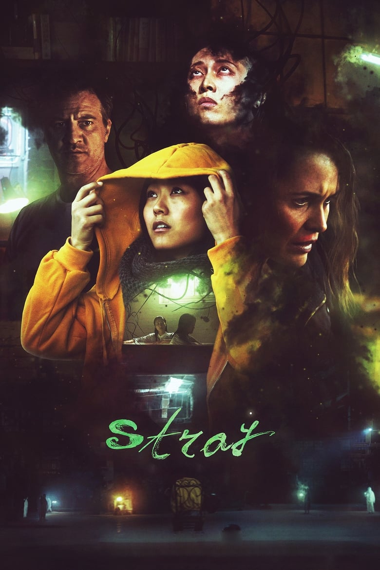 Poster of Stray