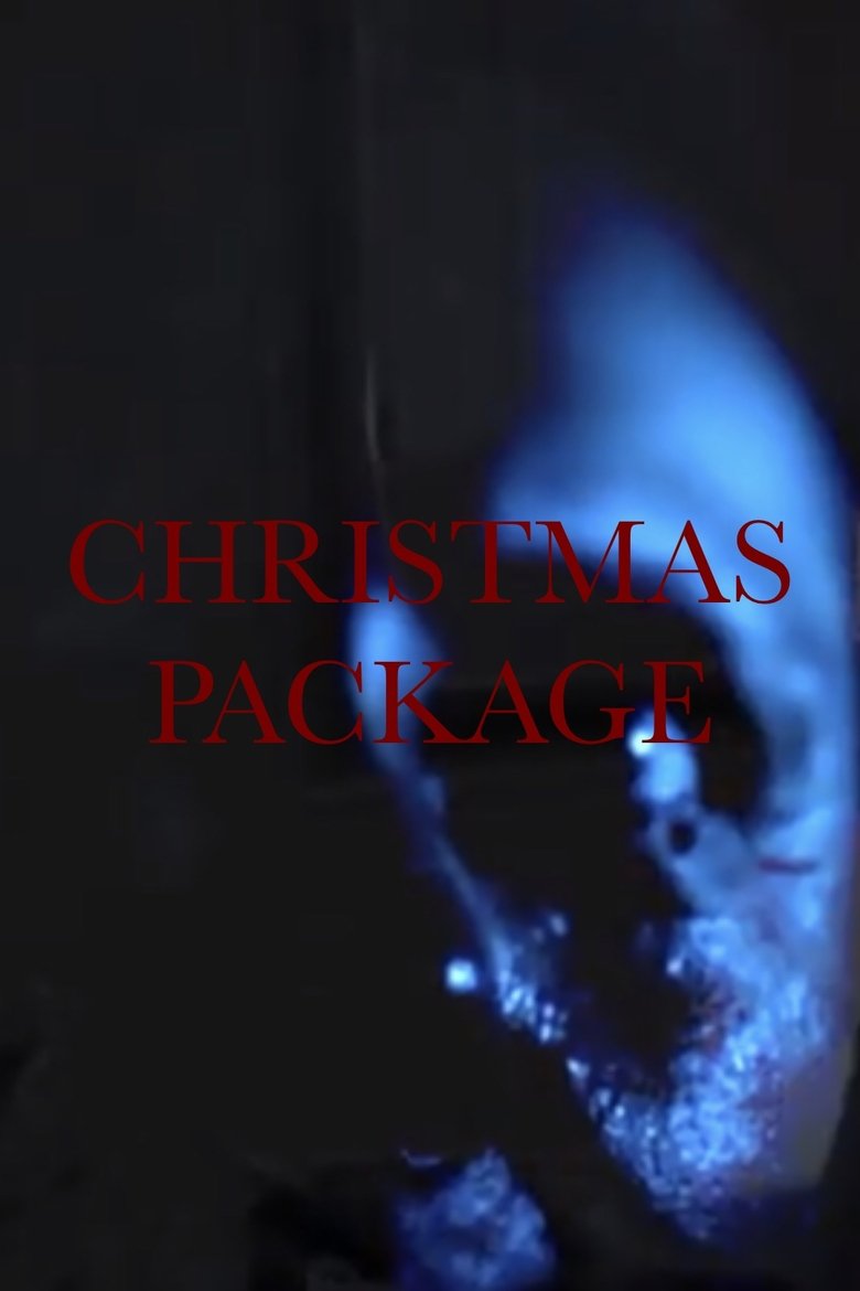 Poster of Christmas Package