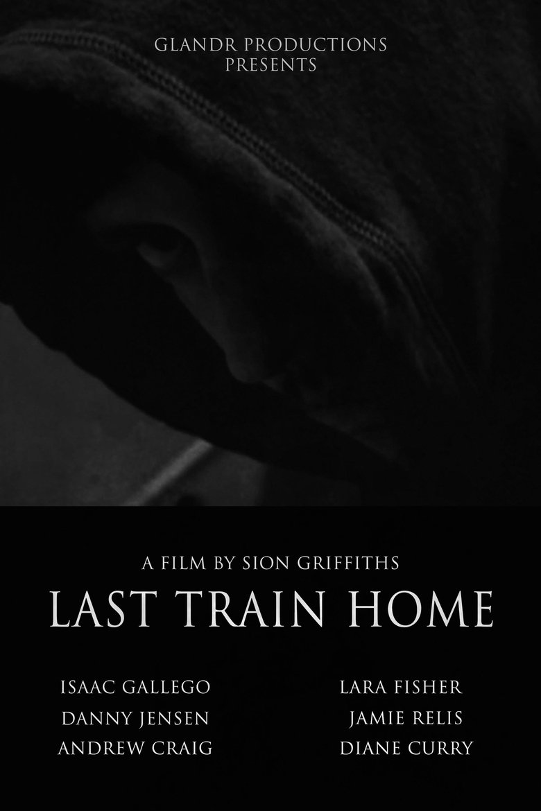 Poster of Last Train Home