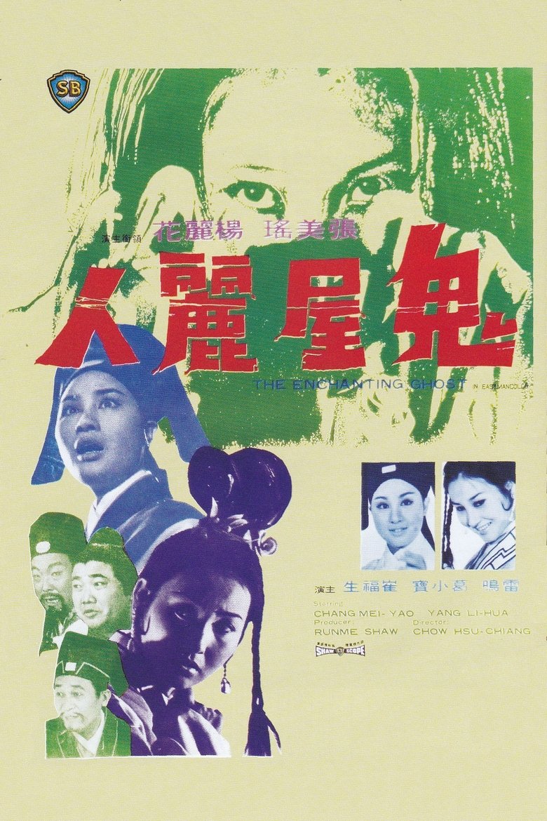 Poster of The Enchanting Ghost