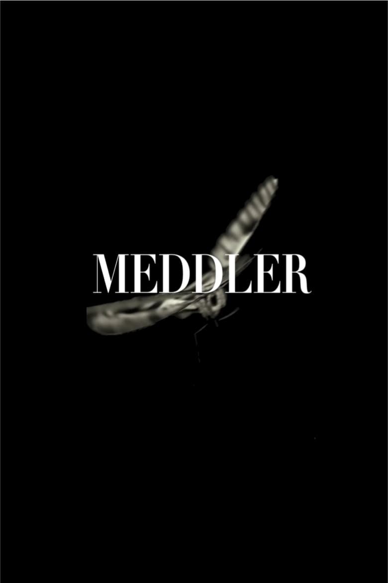 Poster of Meddler