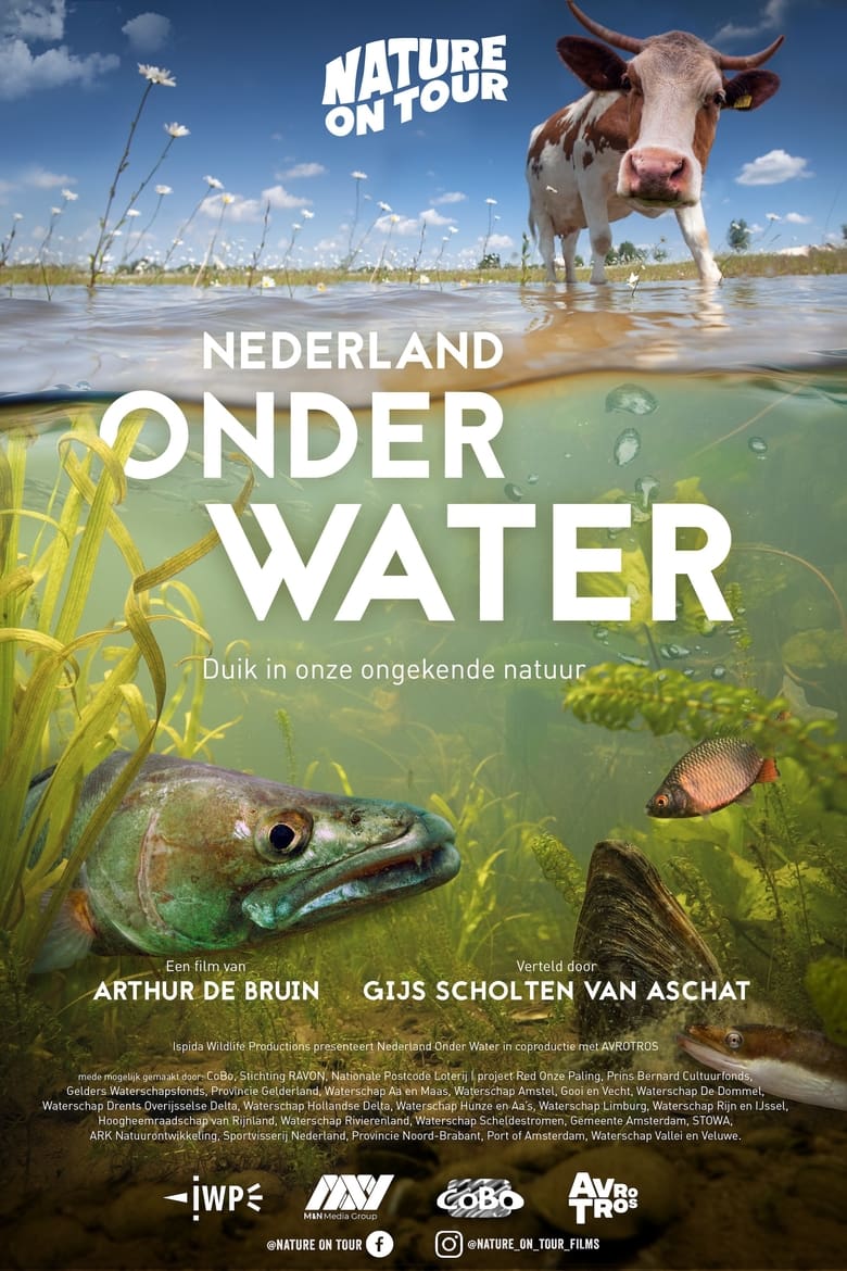 Poster of Nederland onder water