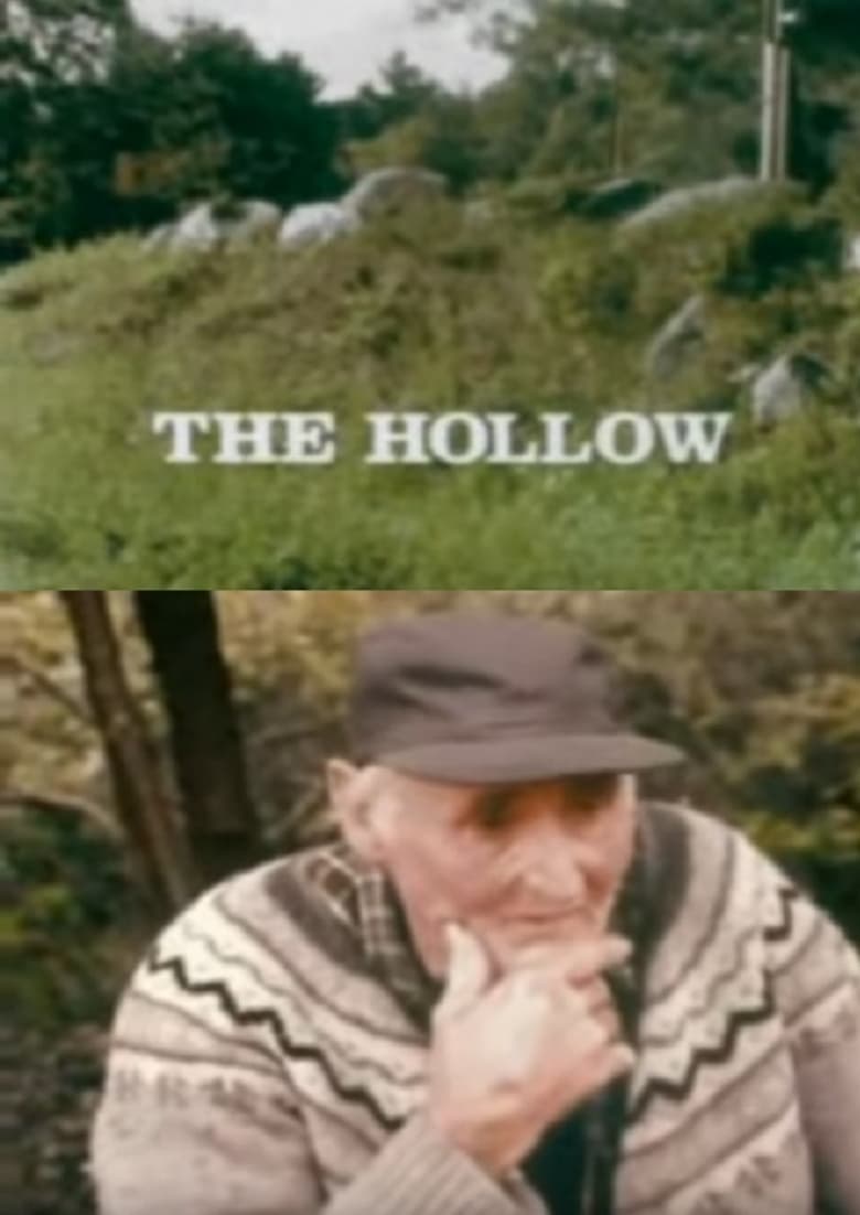 Poster of The Hollow