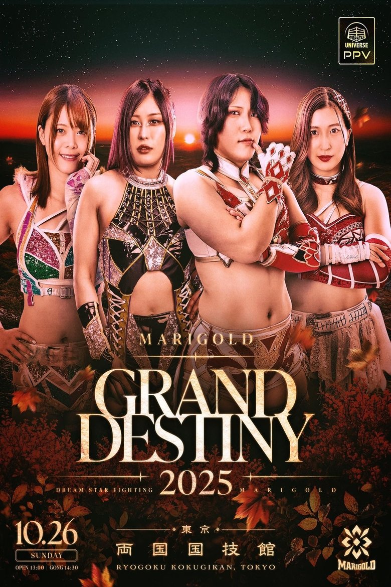 Poster of Marigold Grand Destiny