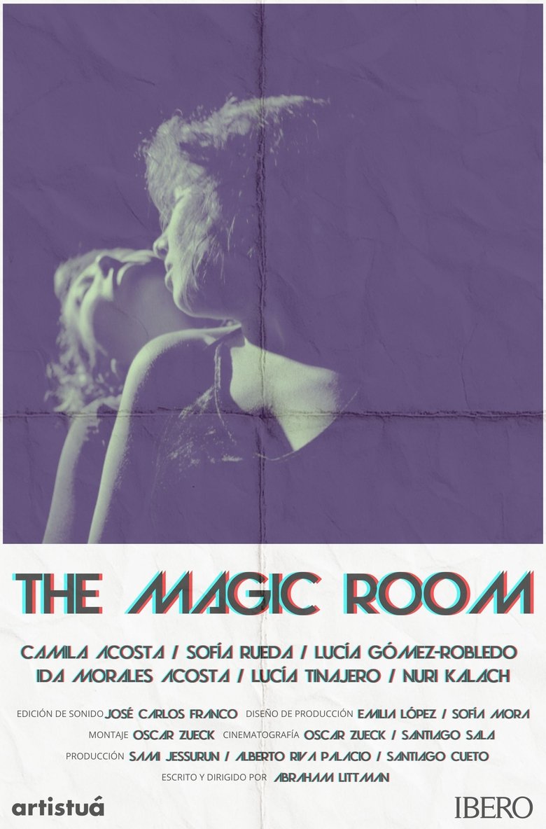 Poster of The Magic Room