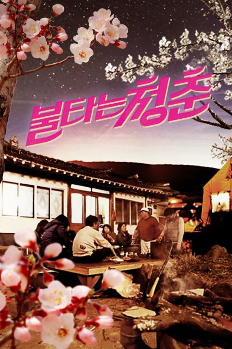 Poster of Episodes in 불타는 청춘 - Season 1 - Season 1