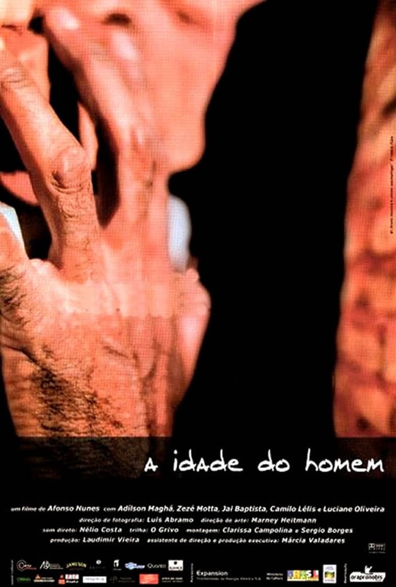 Poster of A Idade do Homem