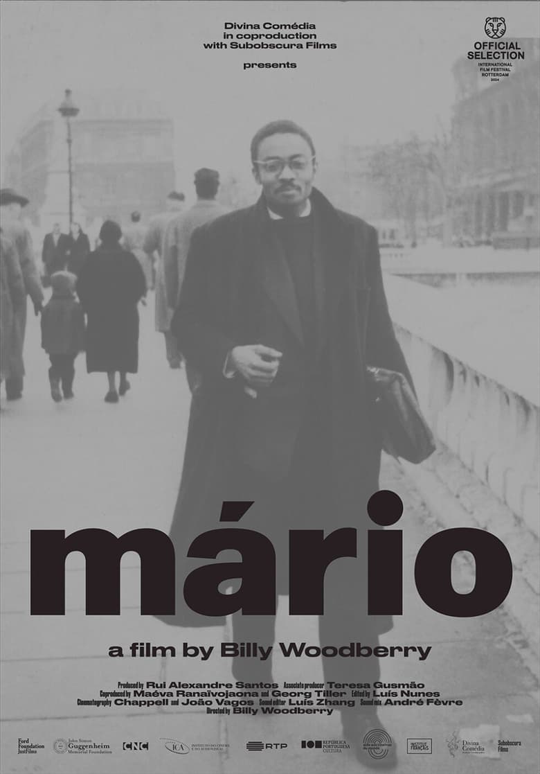 Poster of Mário