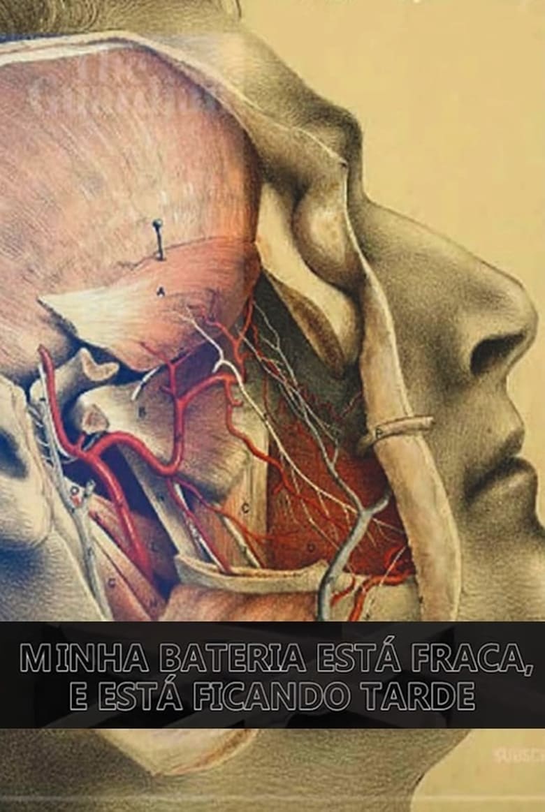 Poster of Minha Bateria Está Fraca e Está Ficando Tarde