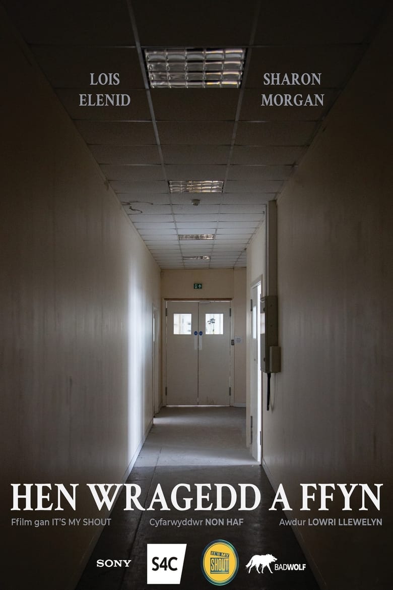 Poster of Hen Wragedd a Ffyn