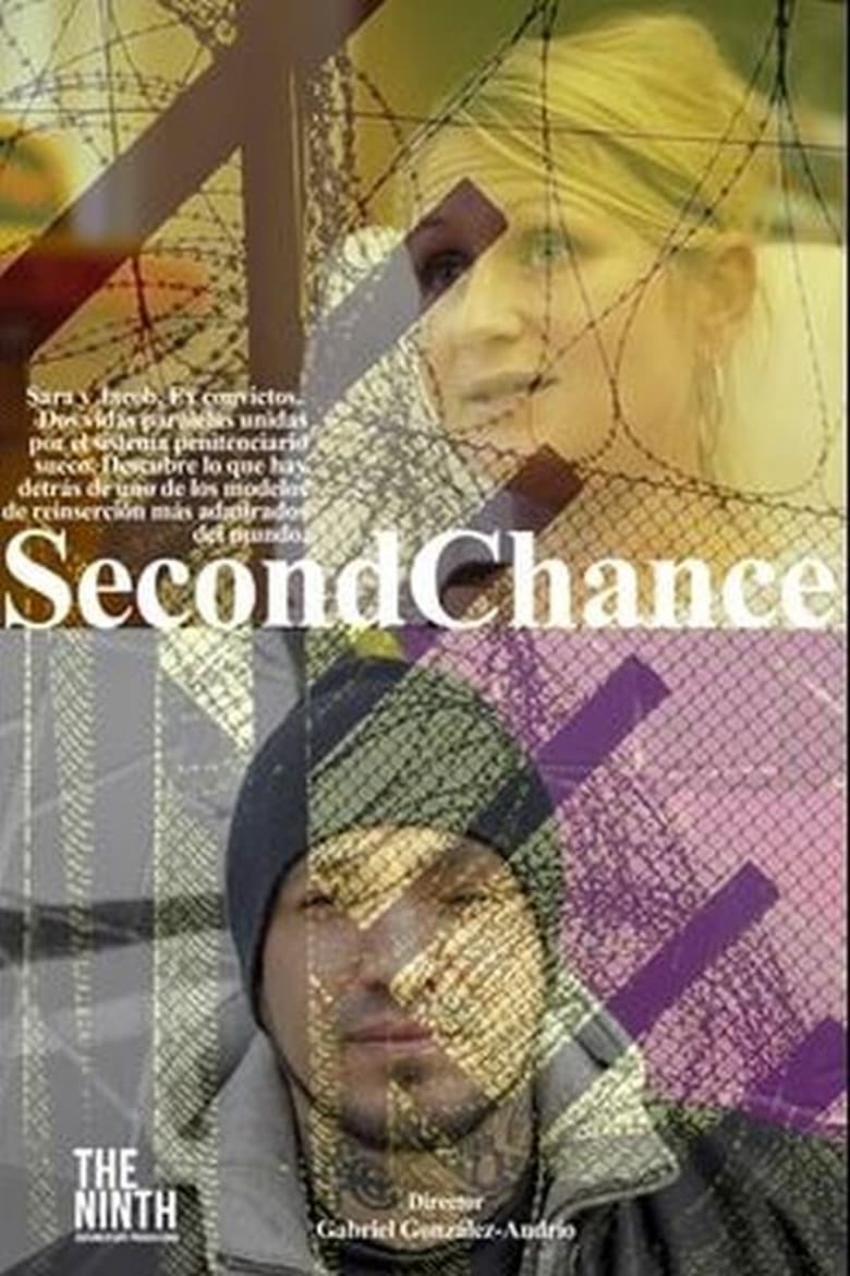 Poster of Second Chance