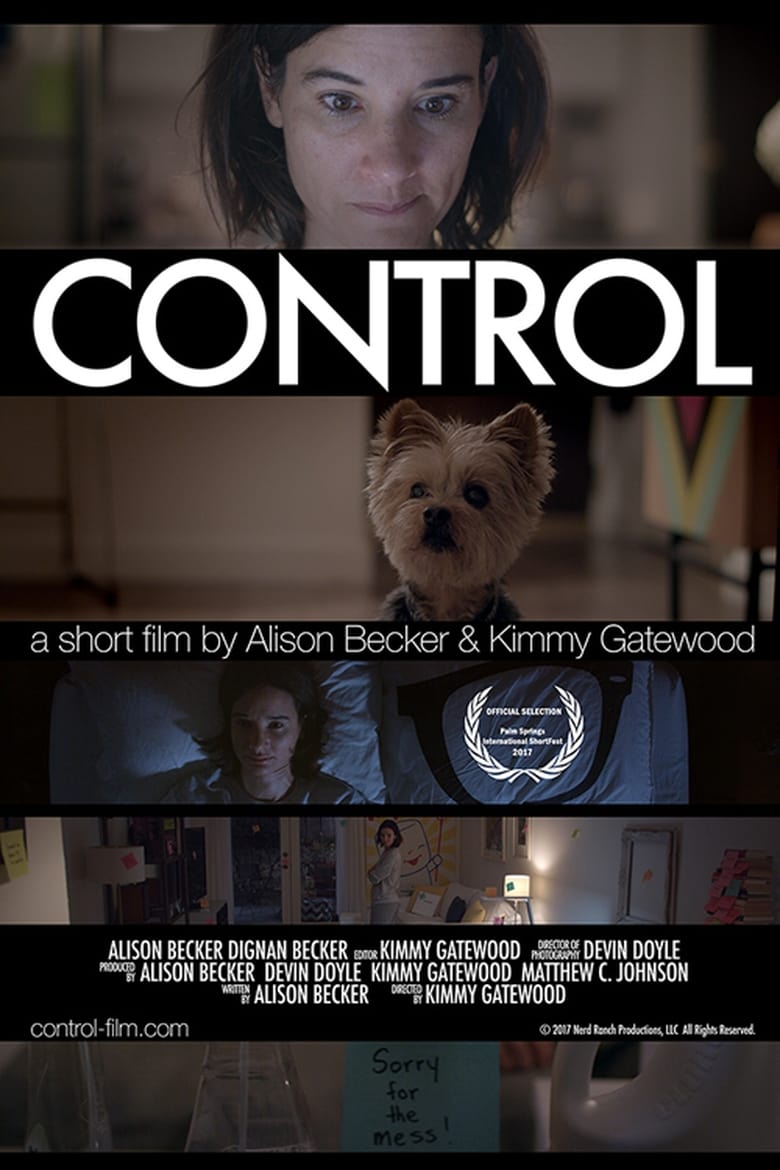 Poster of Control