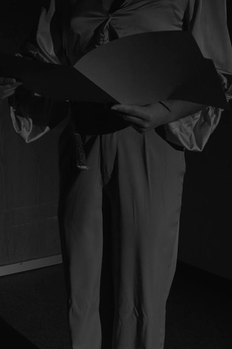 Poster of The Horse Head Incident