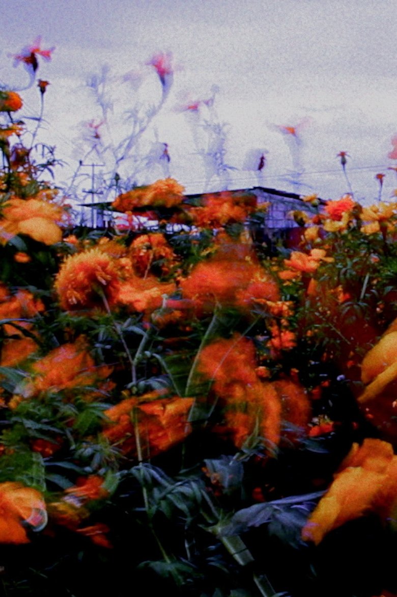 Poster of Monet