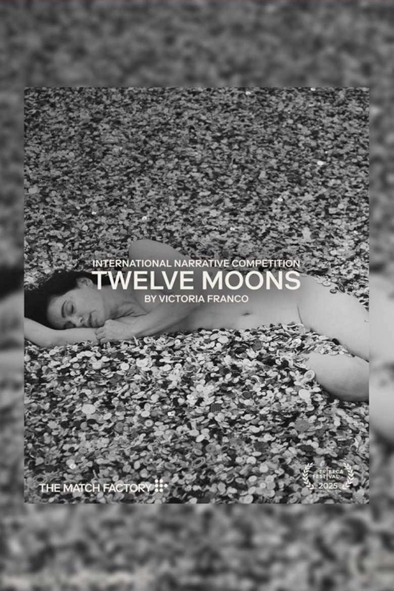 Poster of Twelve Moons