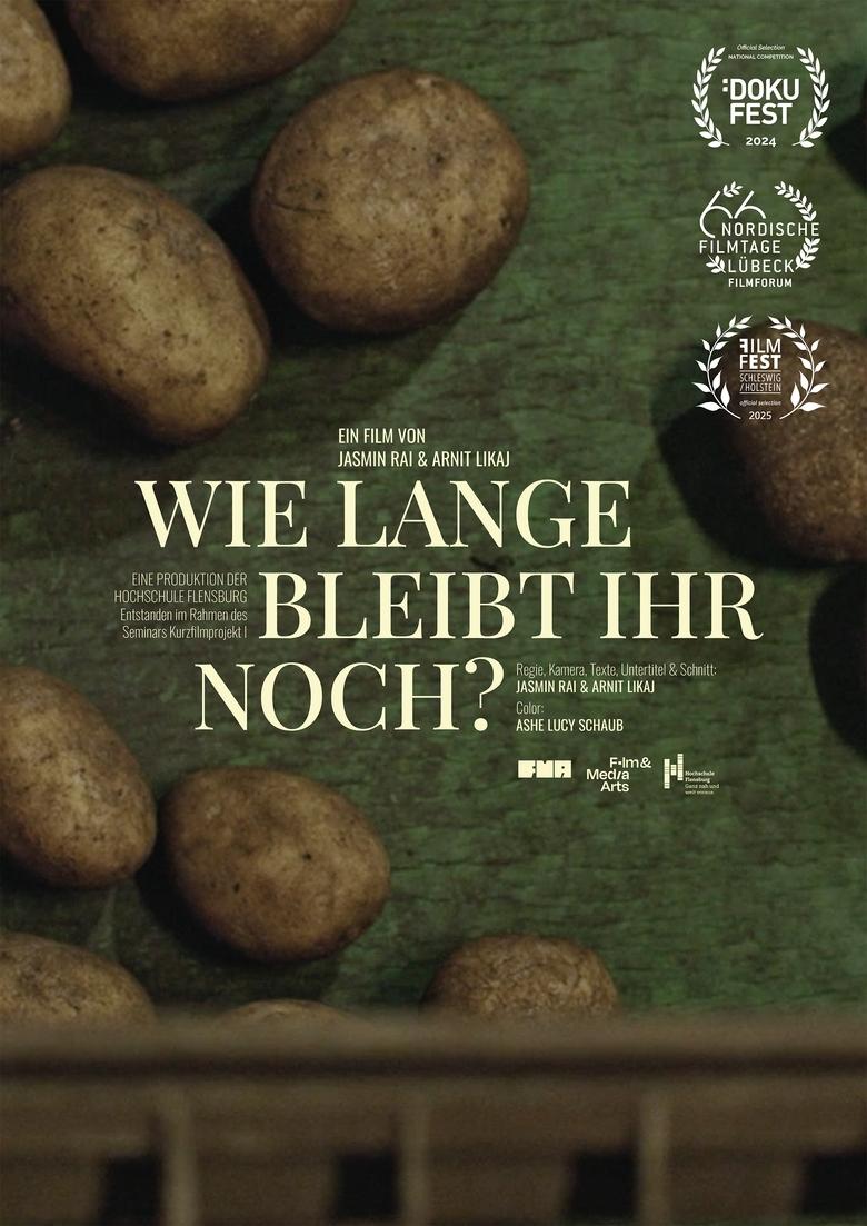 Poster of how long will you stay?