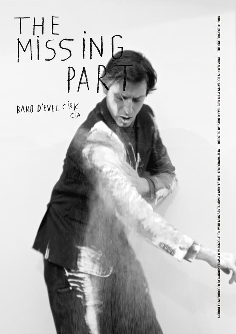 Poster of The Missing Part