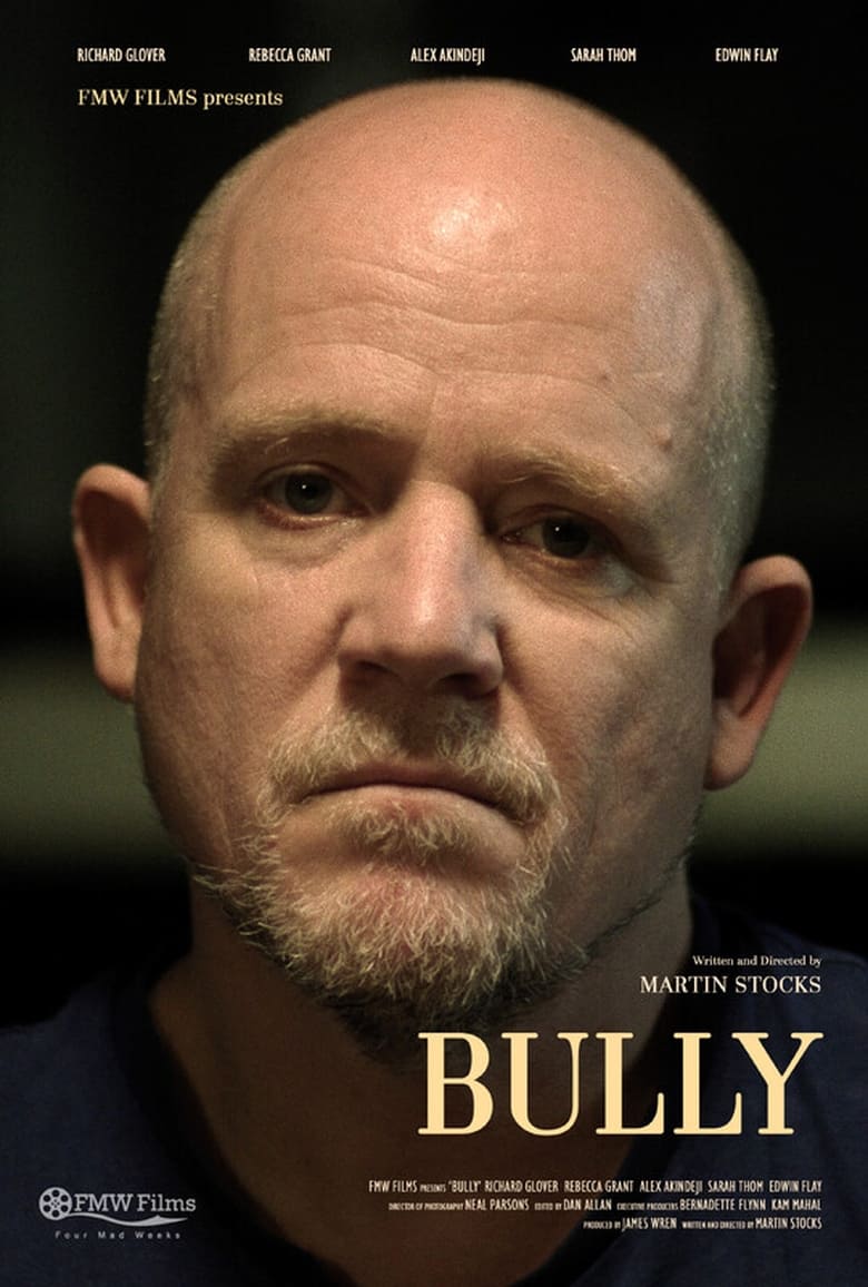 Poster of Bully