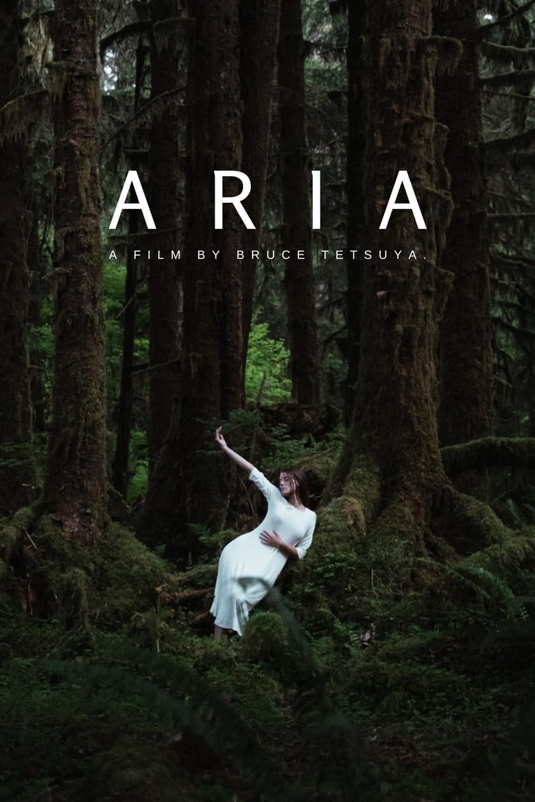 Poster of Aria