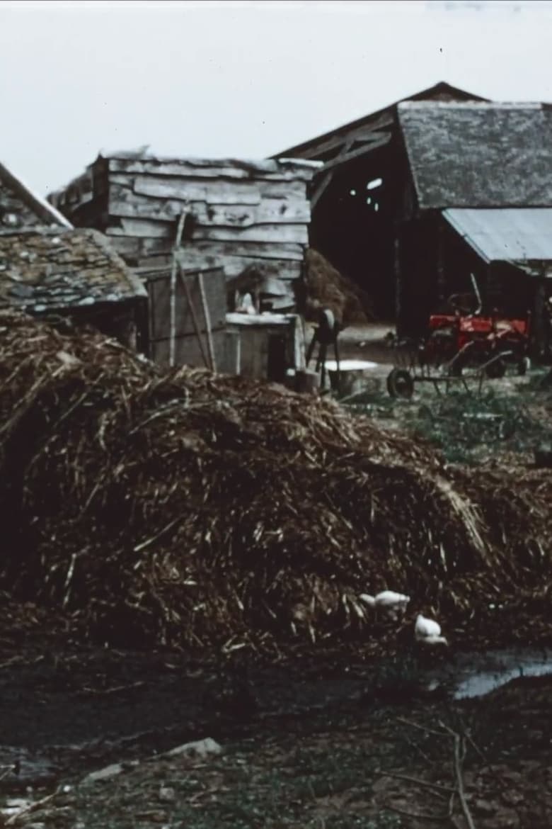 Poster of The Mud House