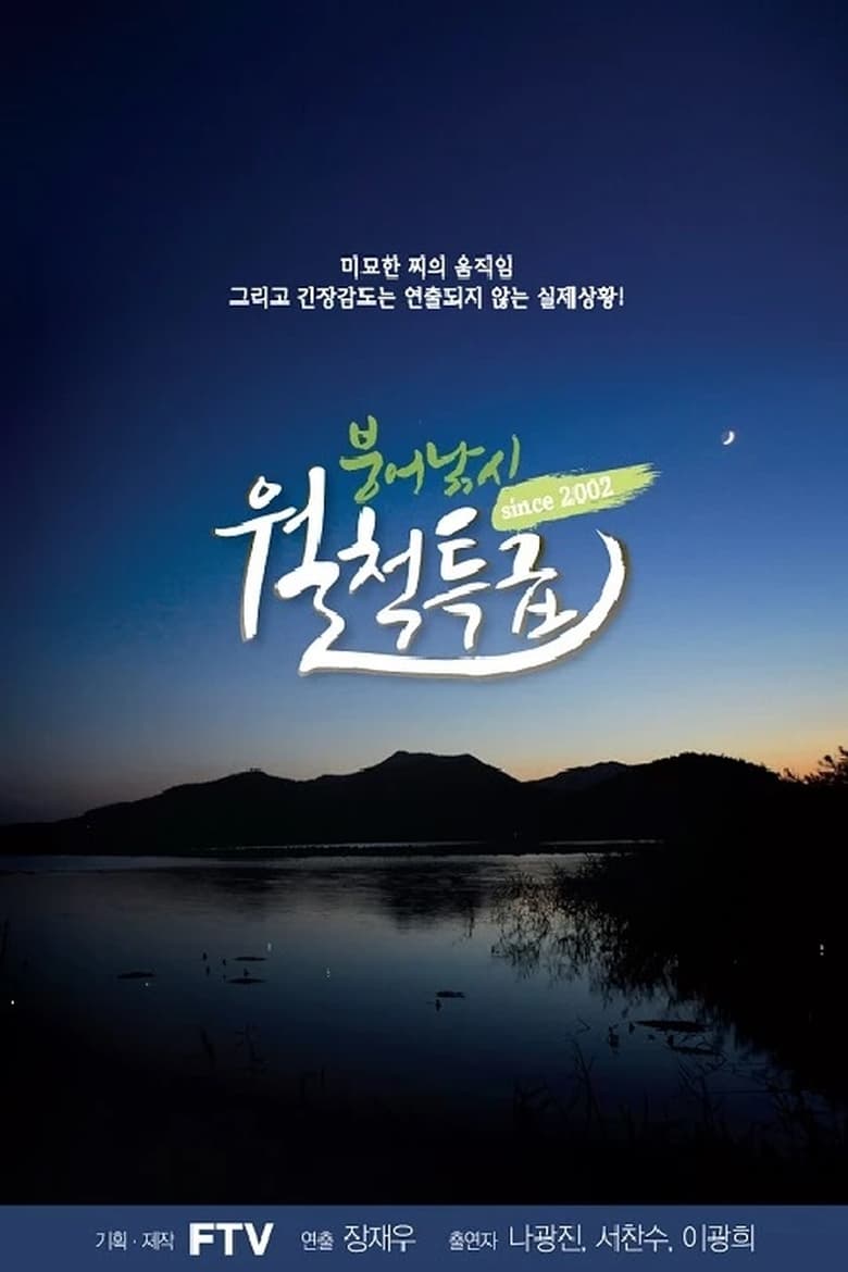 Poster of 붕어낚시 월척특급