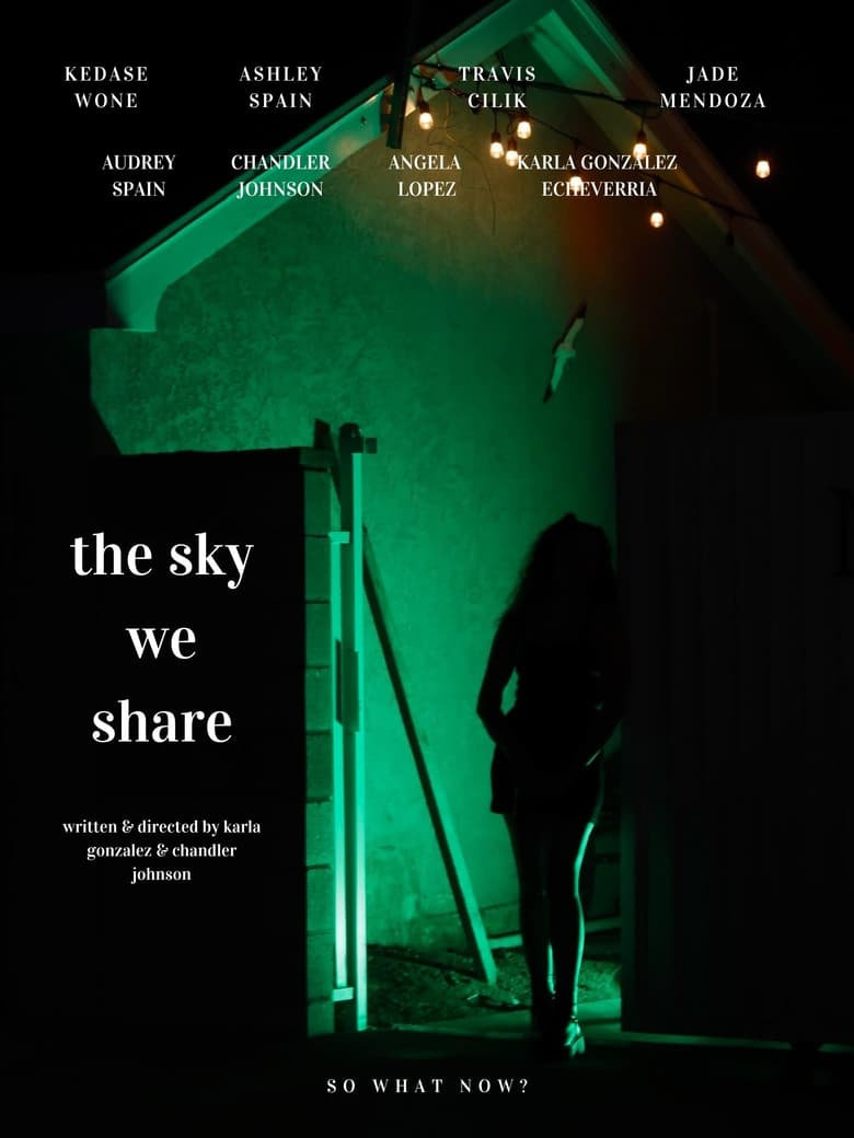 Poster of The Sky We Share