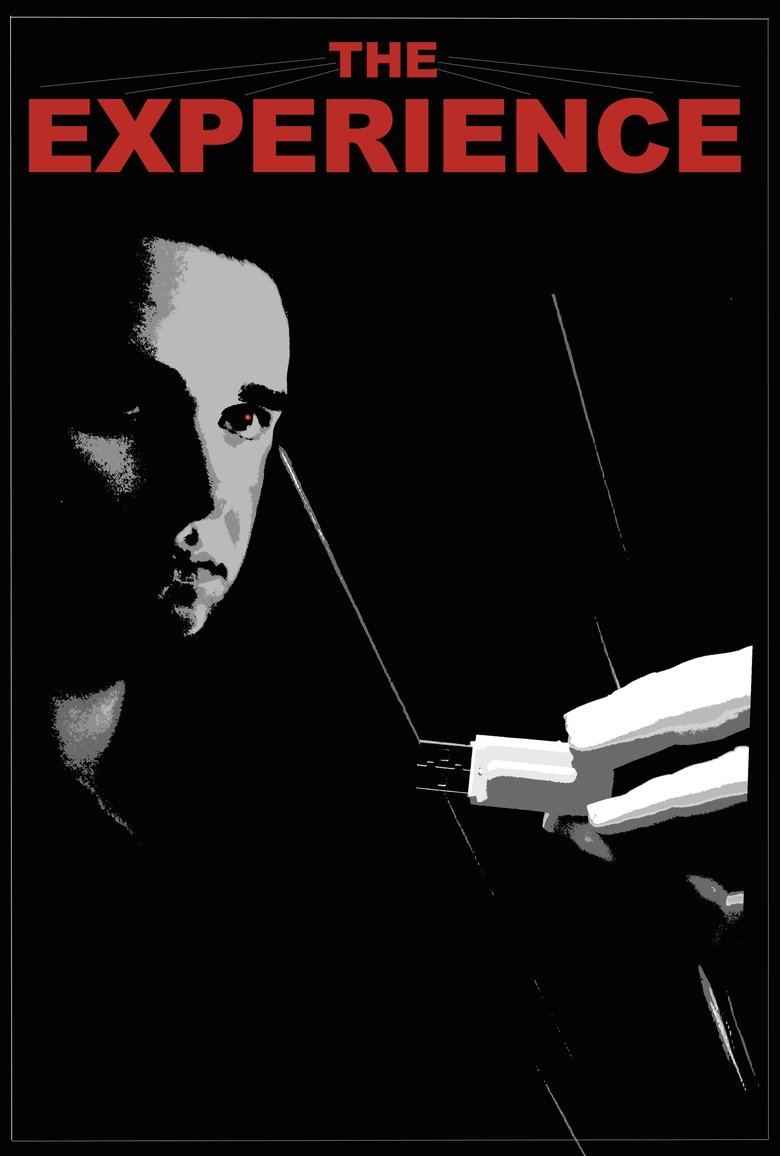 Poster of The Experience