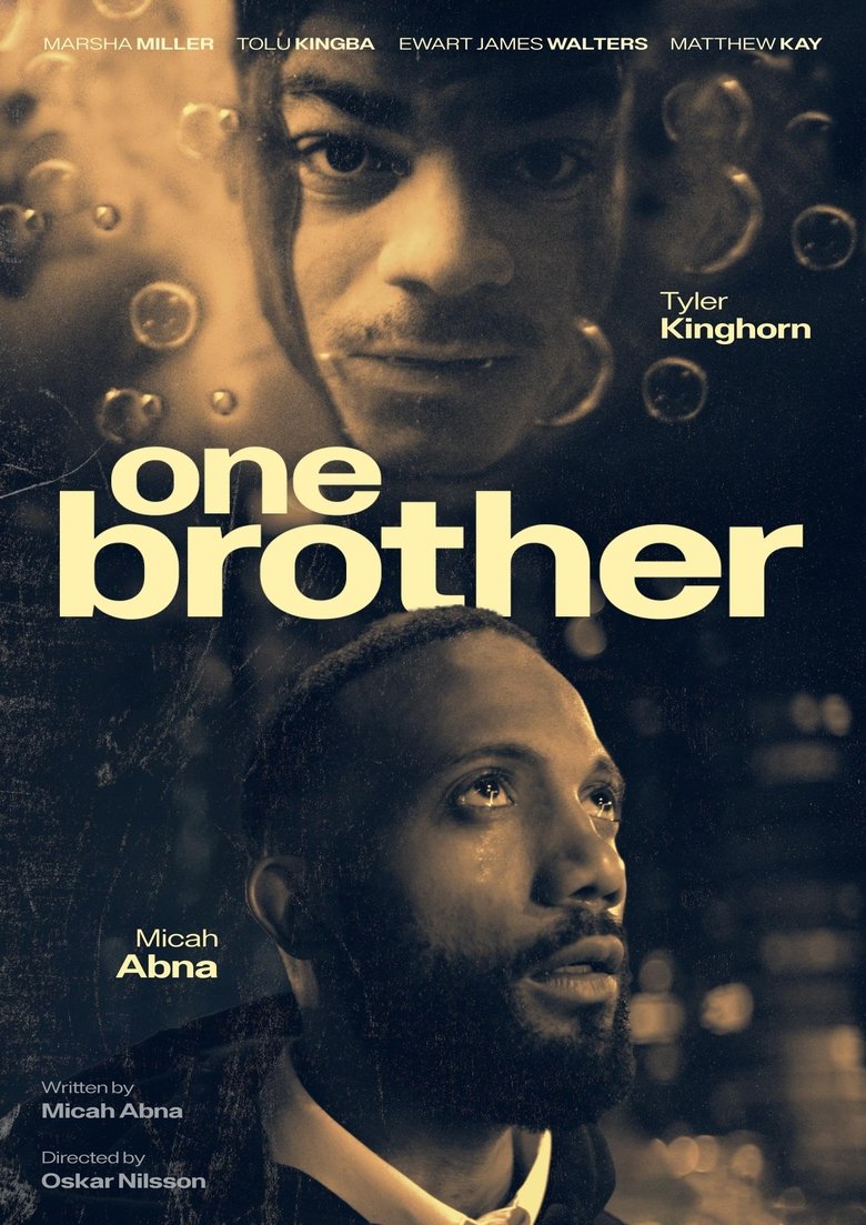 Poster of One Brother