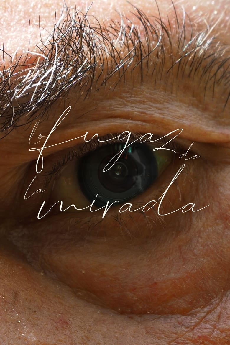 Poster of Lo fugaz de la mirada