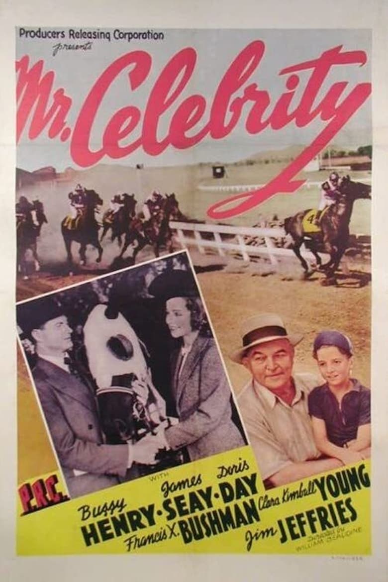 Poster of Mr. Celebrity