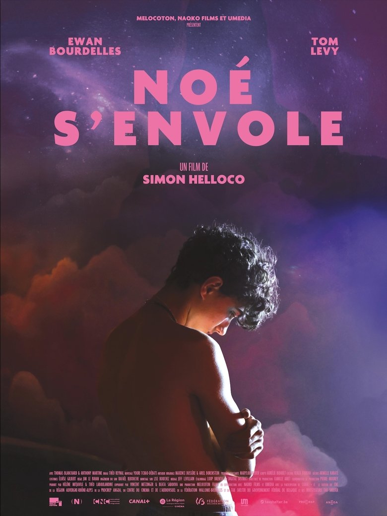 Poster of Noé s'envole