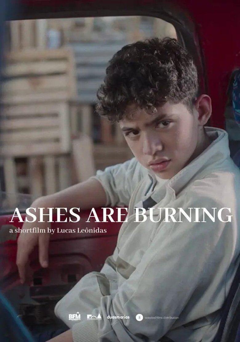 Poster of Ashes are Burning
