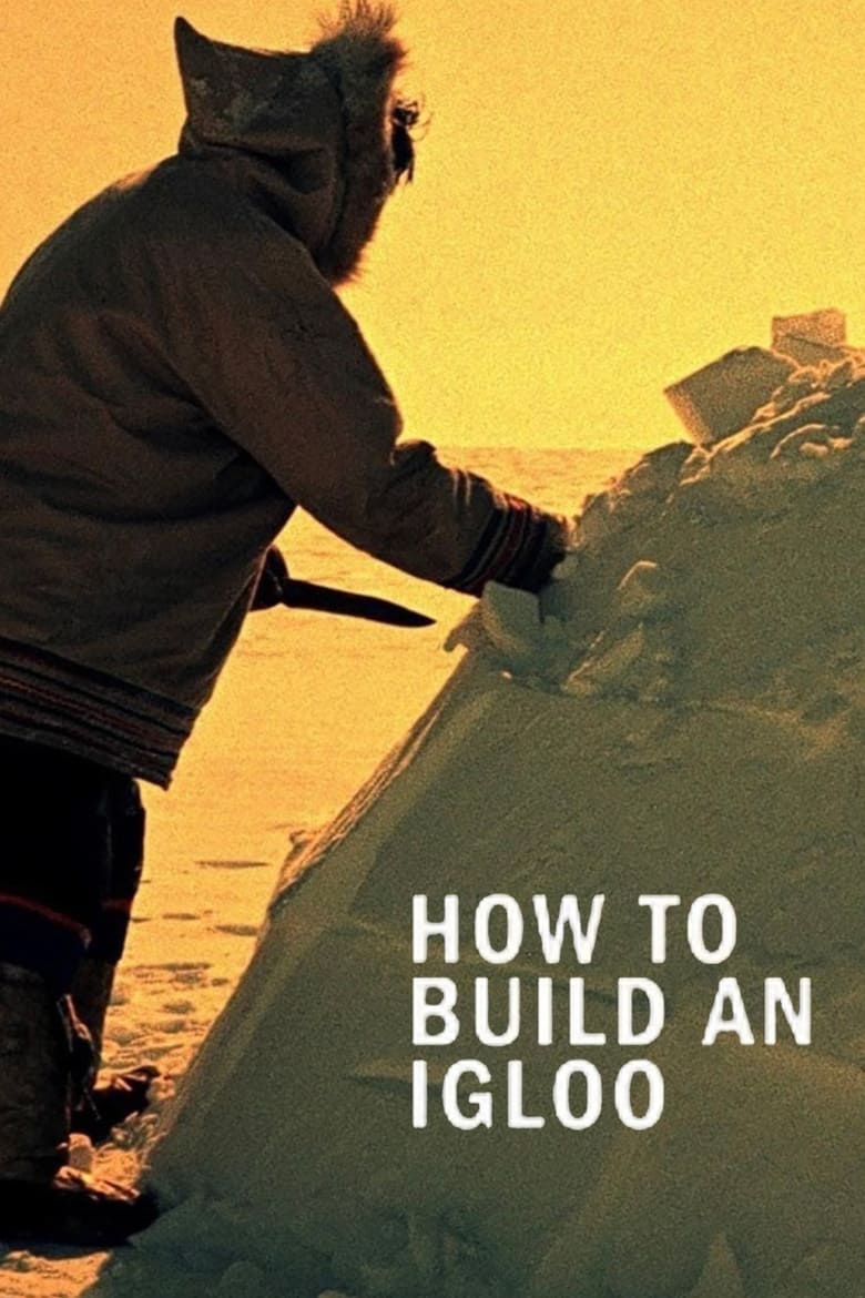 Poster of How to Build an Igloo