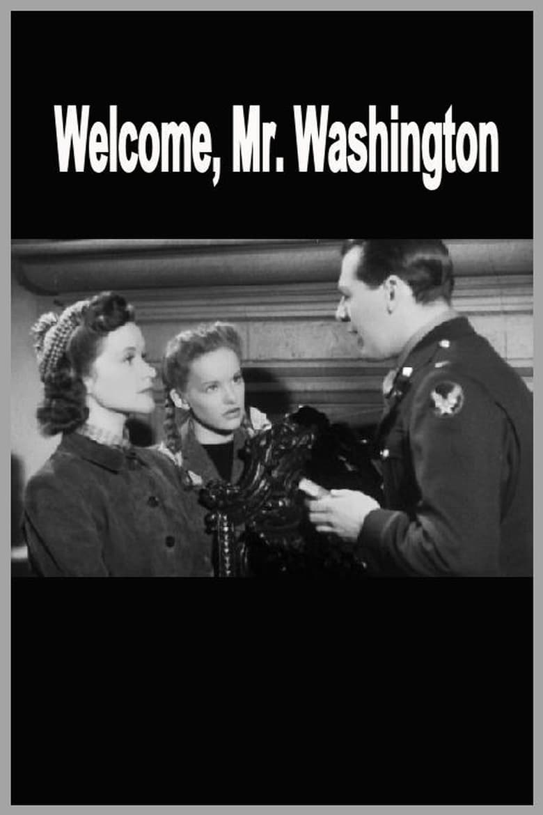 Poster of Welcome, Mr Washington