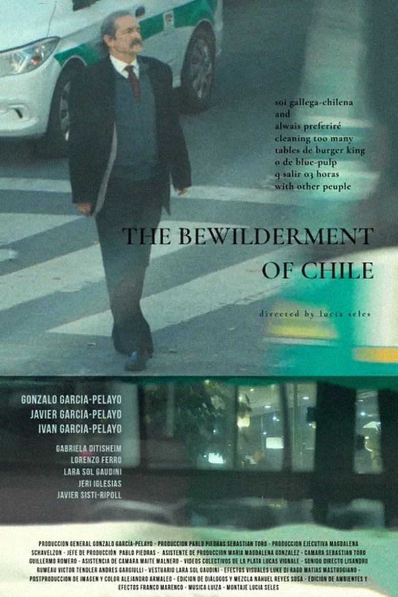 Poster of the bewilderment of chile