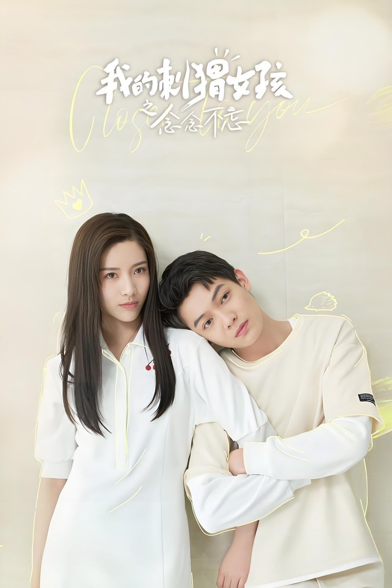 Poster of 我的刺猬女孩之念念不忘