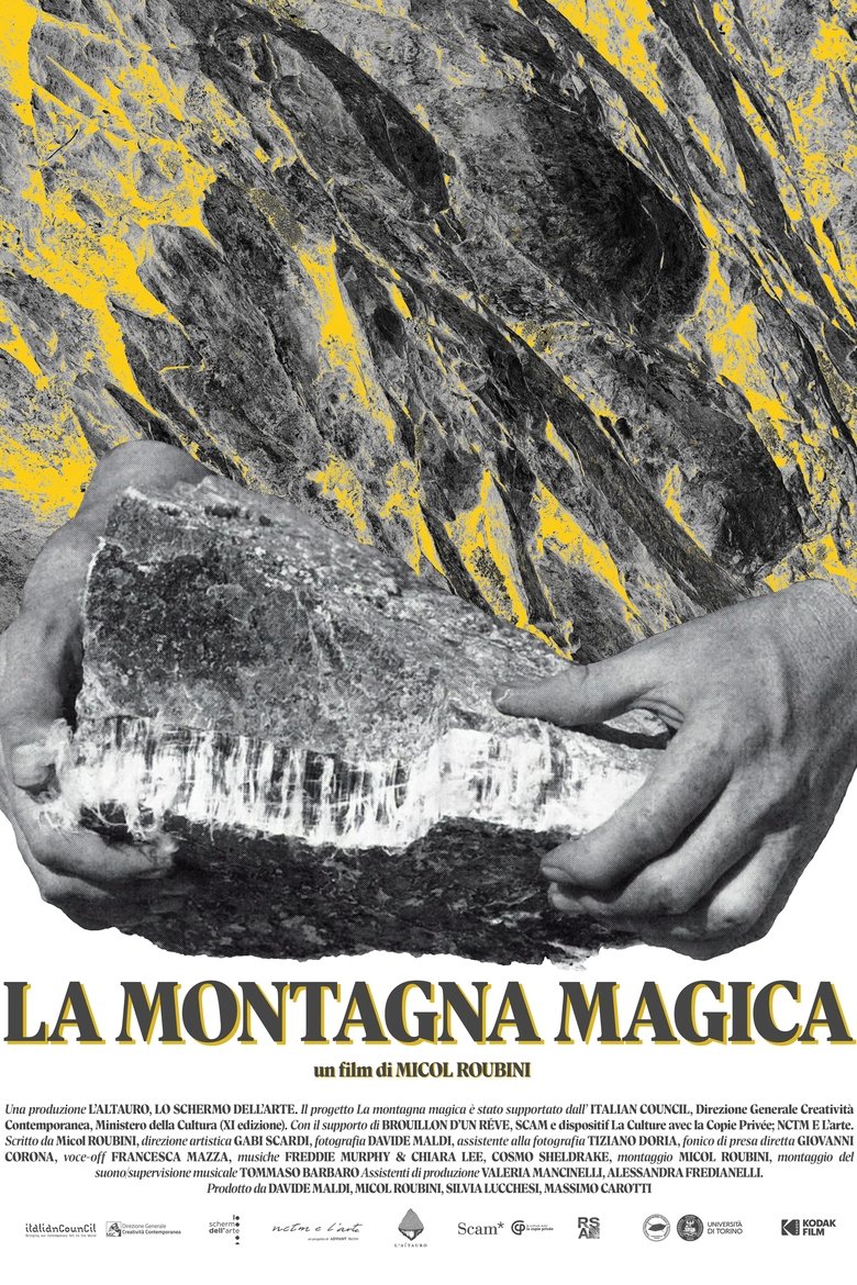 Poster of La montagna magica
